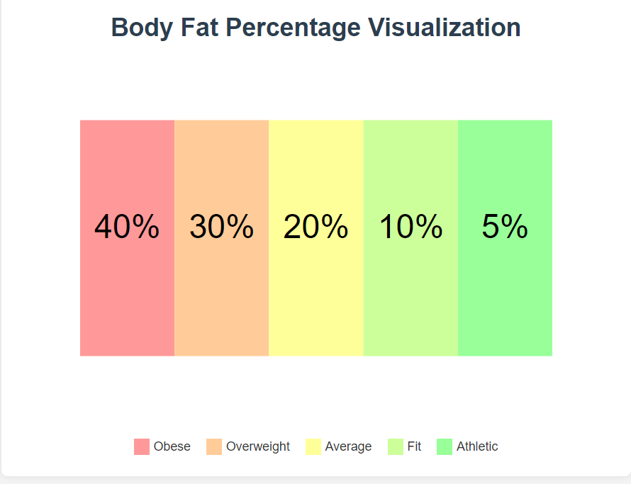 Body Fat Percentage Calculator: An In-Depth Guide to Tracking Your Health