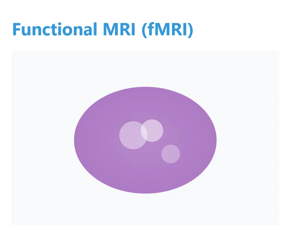 MRI Scan Types: The Secret Weapon Behind Accurate Diagnoses 5 Functional MRI (fMRI)