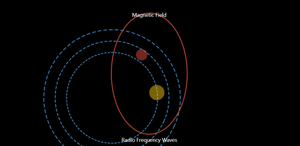 Types of magnetic resonance imaging