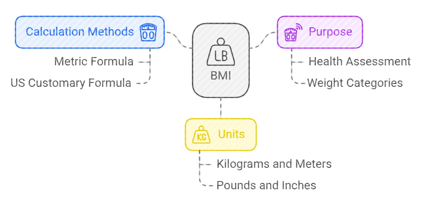 BMI Calculator to Assess Your Weight Status