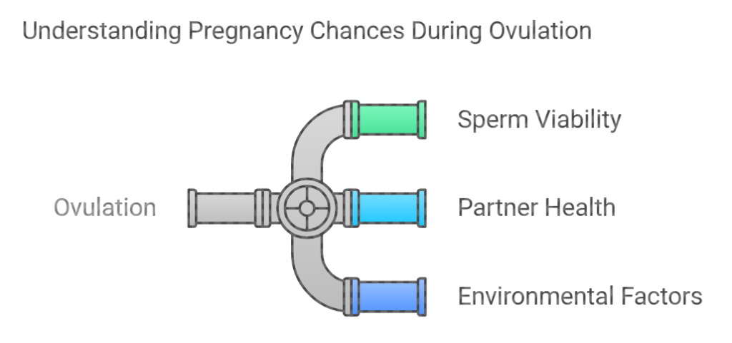 Is Pregnancy 100% Guaranteed When Ovulating